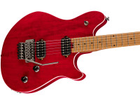 EVH EVH